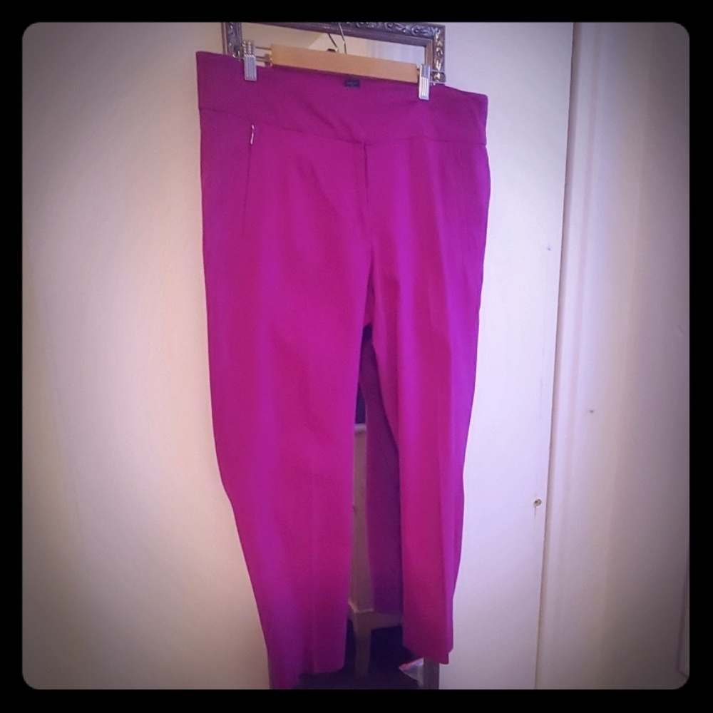Stretch Fuchsia dress pants